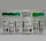 ASCL1/MASH1（神经母细胞特异性转移因子）抗原抗体 科研利器与上海研晶生化试剂的品质保障